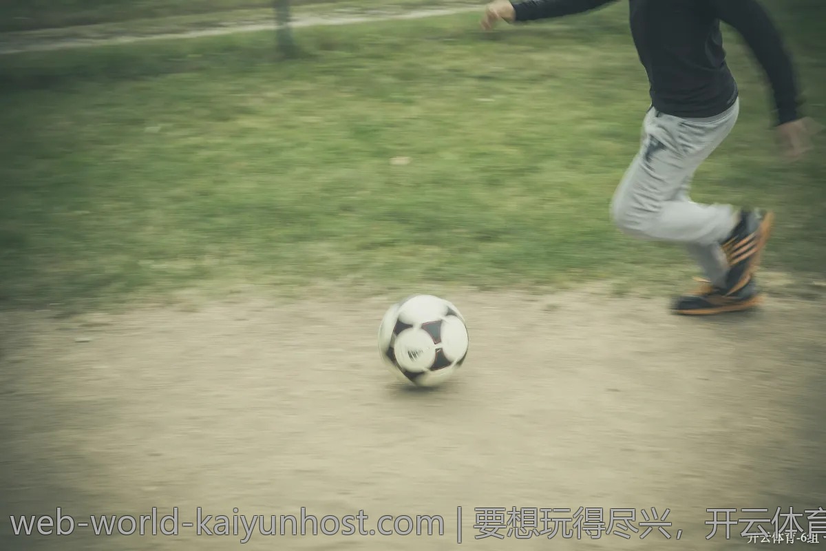 要想玩得尽兴，开云体育登录步骤你得懂