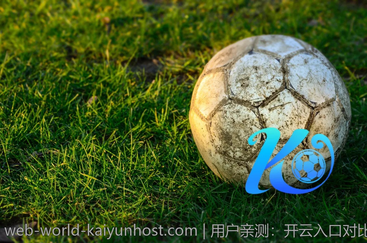 用户亲测：开云入口对比其他平台，哪家更优秀？