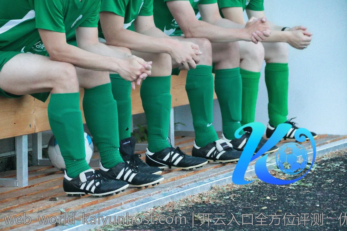 开云入口全方位评测：优缺点对比分析